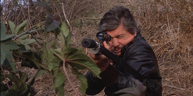 Death Wish 4: The Crackdown (1987)
