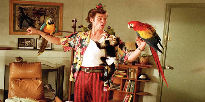 Ace Ventura: Pet Detective (1994)