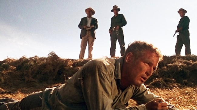 Cool Hand Luke