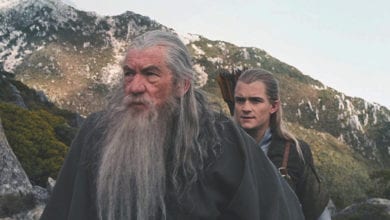 The Lord of the Rings: The Fellowship of the Ring (2001)