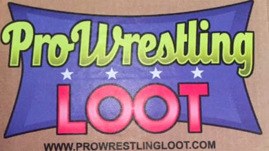 Pro Wrestling Loot #3 Reveal
