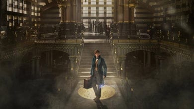 Fantastic Beasts and Where to Find Them (2016)