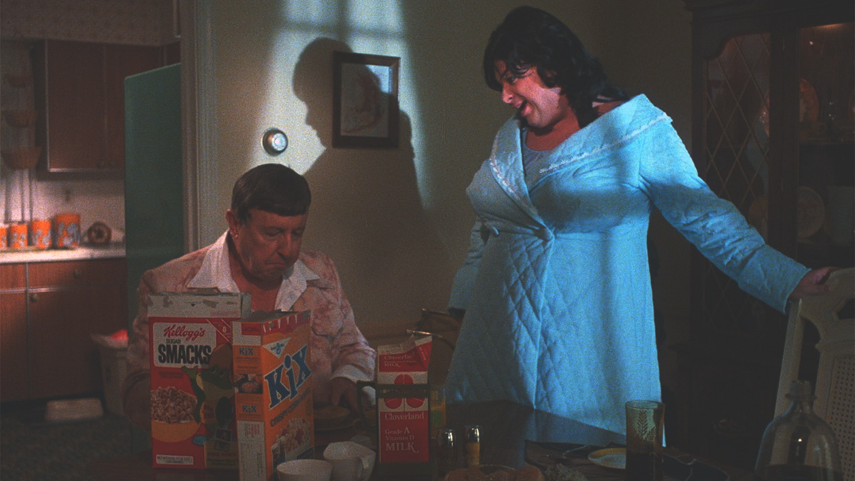 Polyester (1981)