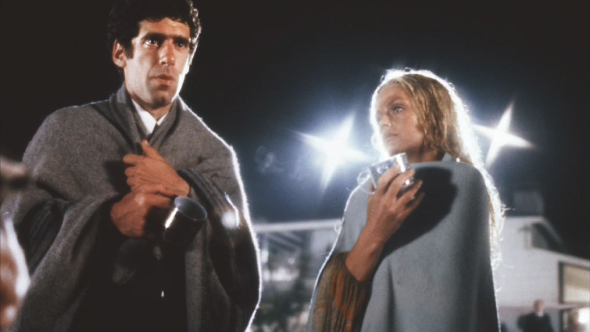 The Long Goodbye Film Essay The Long Goodbye Film Essay