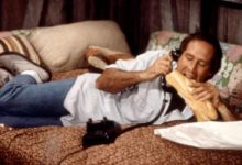 Fletch Lives (1989)