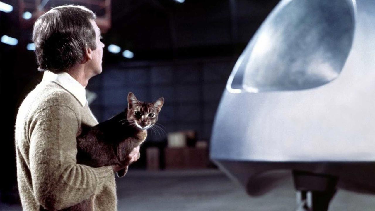 The Cat from Outer Space (1978)