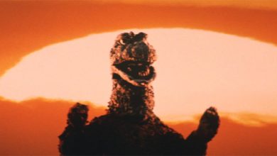 Godzilla vs. Hedorah (1971)